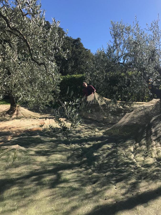 Podere Belvedere Ливорно Экстерьер фото